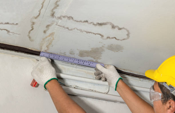 Reliable Water Damage Repair contractor in Riverside, NJ by Hirex Water Damage